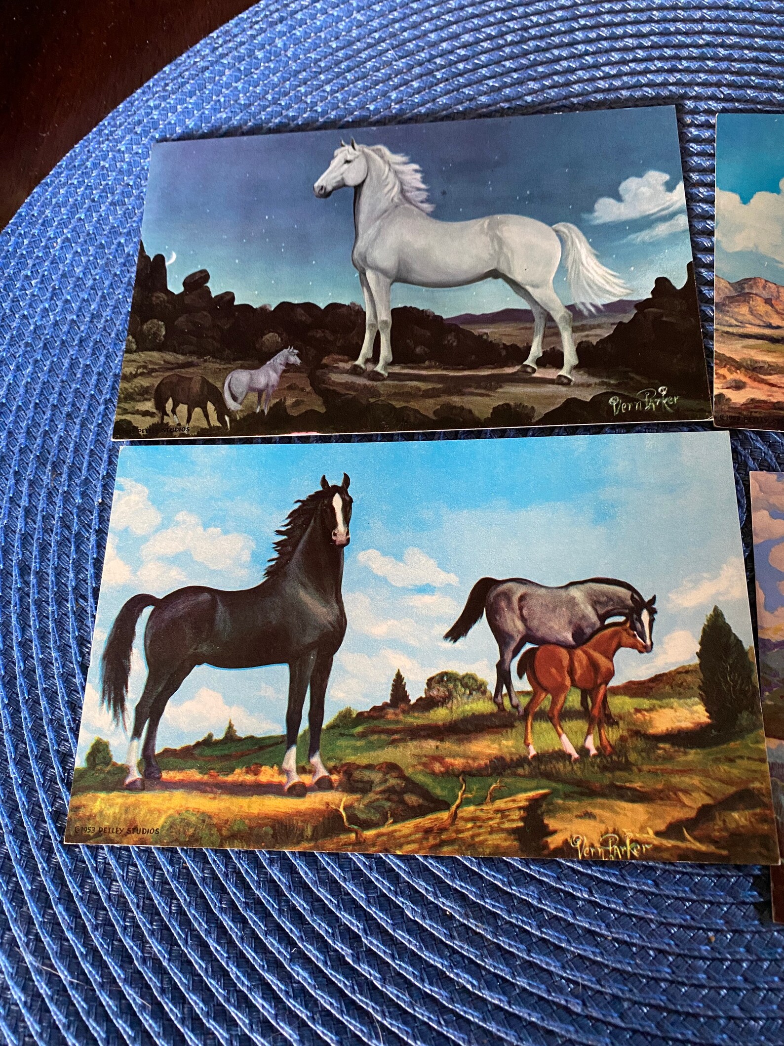 Vintage Horse Art Postcards Vern Parker Etsy