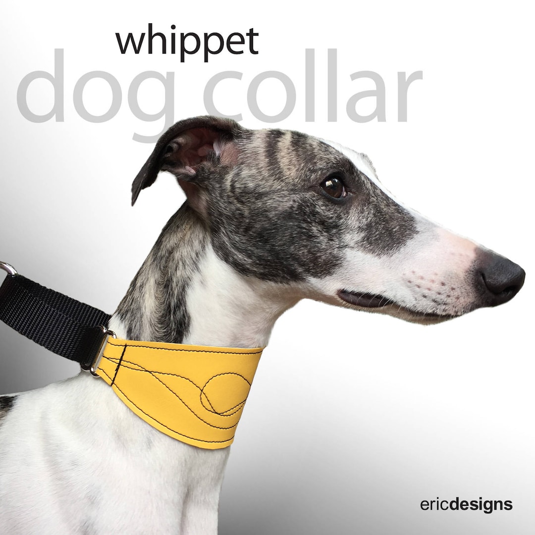Whippet Dog Collar Etsy