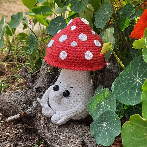 Crochet mushroom man, amigurumi toy, crochet toadstool toy, gift for kids, home decor