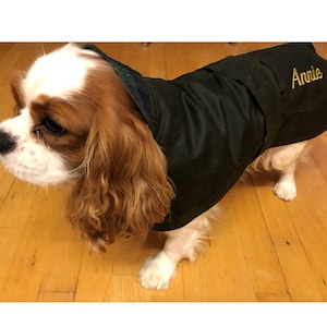 flea and tick meds for dogs