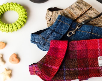 tweed jacket for dogs