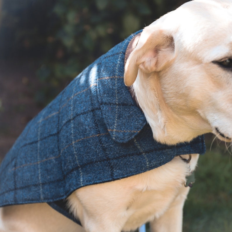 Handgemachte Tweed-Hundejacke, personalisiertes Hundegeschenk, Haustier-Tweed-Mantel mit gemütlichem Fleecefutter, Herbst-Winter-Hundejacke, Weihnachtsgeschenk für Hunde Bild 5