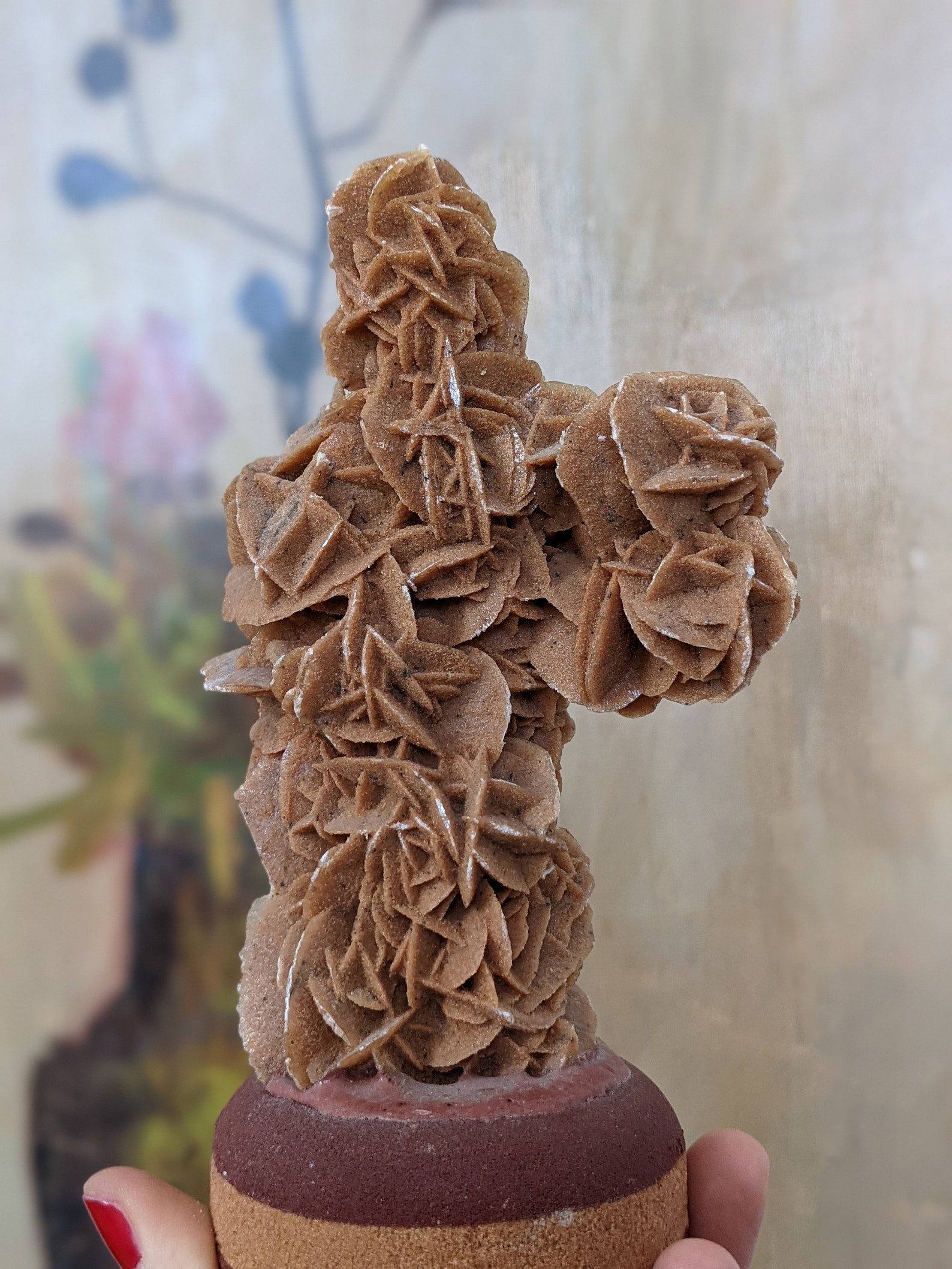 Pierre De Sélénite Rose Du Désert - Pierre Brute Naturelle, Décoration Maison, Collection Minérale Unique