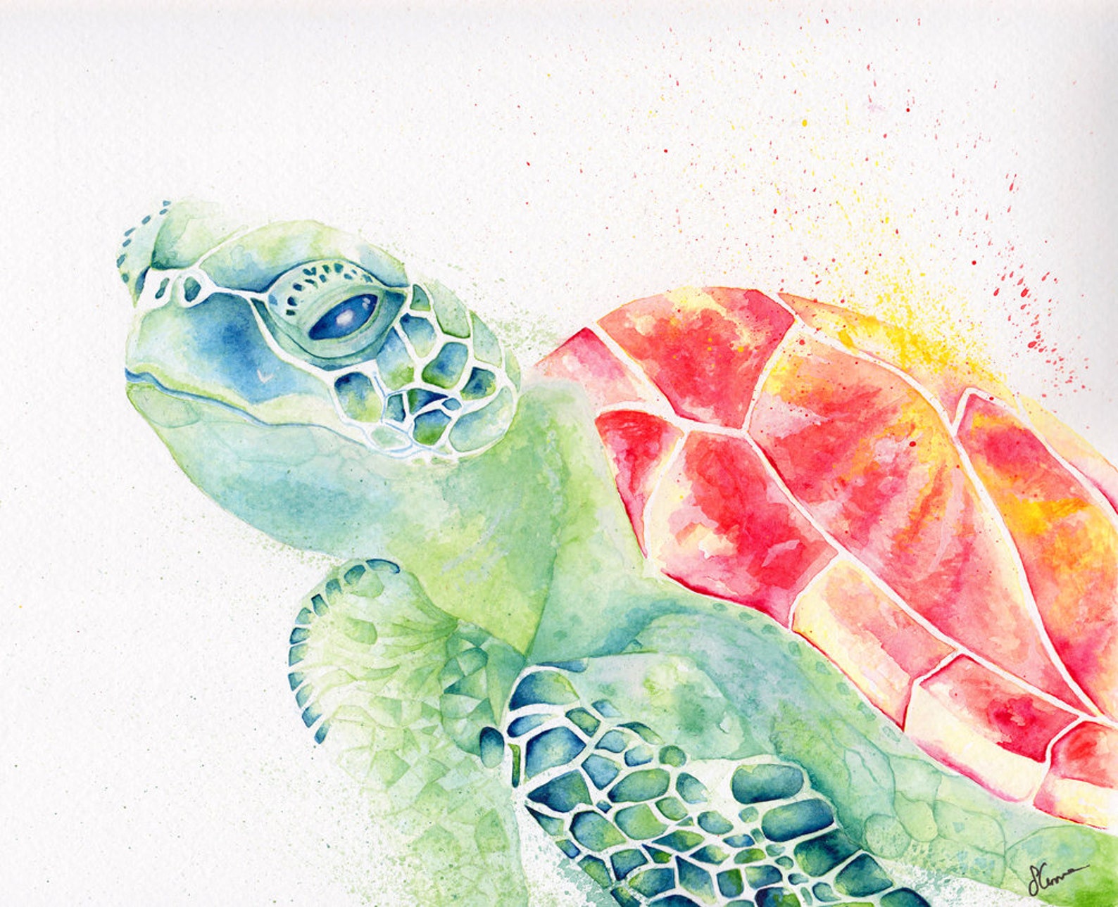 Sea Turtle A Greeting Card Etsy