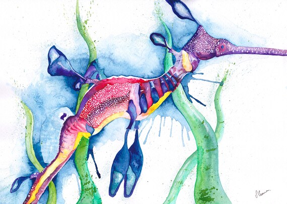 Weedy Sea Dragon A3 Print With Mount Etsy