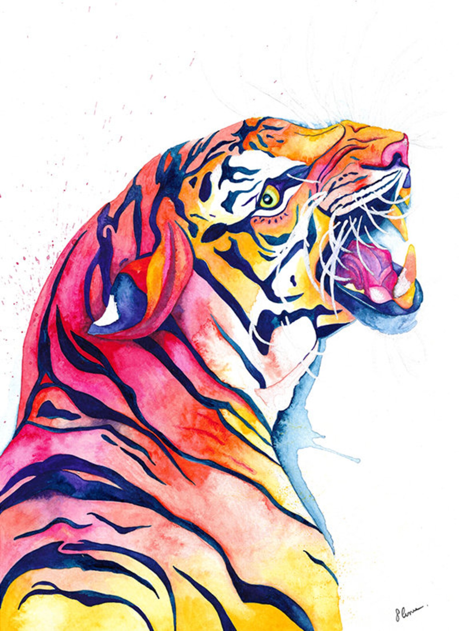 Tiger A4 Mounted Print Etsy