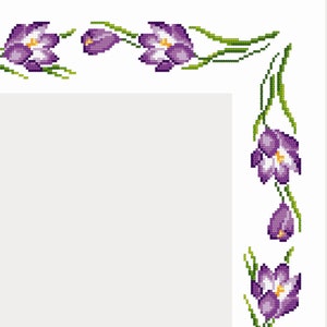 Puede incluir: Un fondo cuadrado blanco con un borde de flores moradas. Las flores son crocus con tallos y hojas verdes.