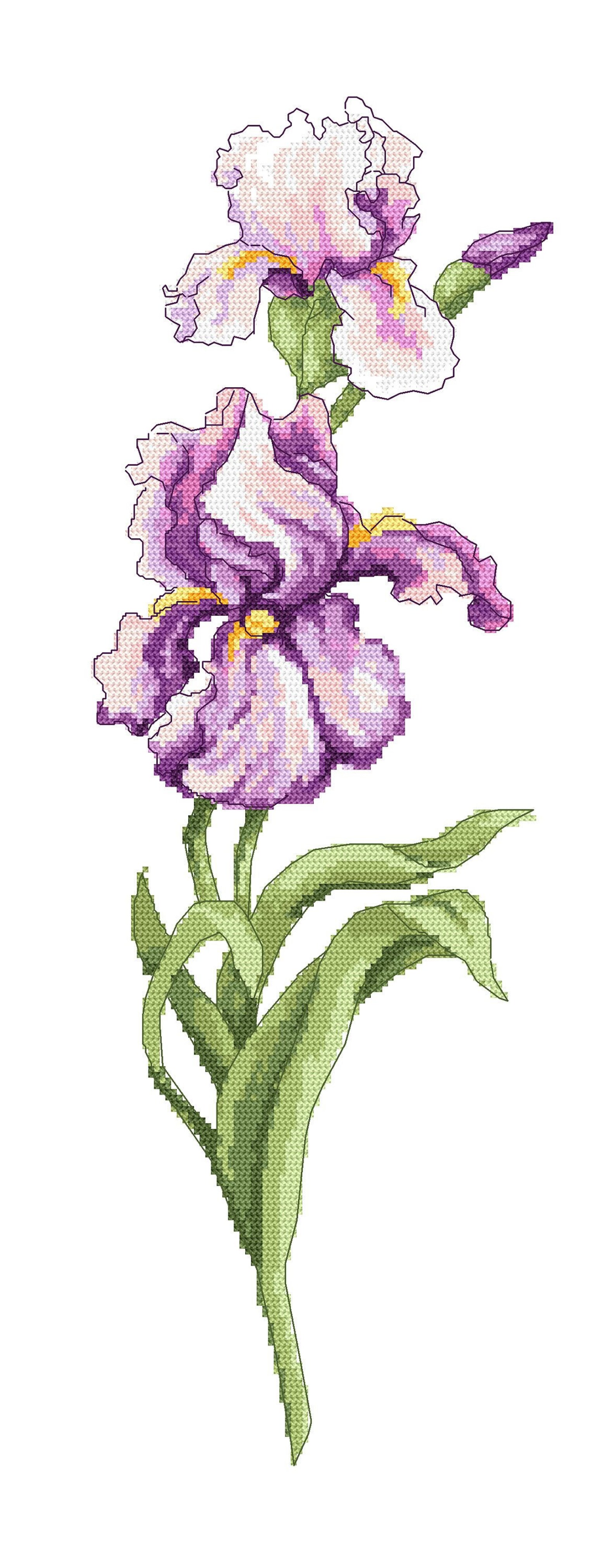 Iris Cross Stitch Pattern Oblong Iris PDF Chart. | Etsy
