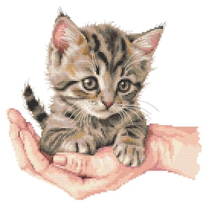 Kittens ,cross stitch pattern PDF - Sweet kitty