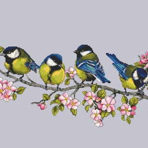 Könnte beinhalten: Vier blaue und gelbe Vögel sitzen auf einem Ast mit rosa Blüten. Die Vögel haben schwarze Augen und Schnäbel. Der Ast ist braun und hat grüne Blätter.