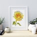 Lovely sunflower - Online pattern for cross stitch 