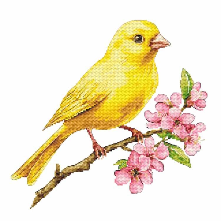 Canary Cross Stitch Pattern: Yellow Bird on Sakura Branch (PDF