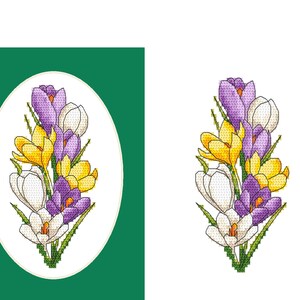 May include: A bouquet of purple, white, and yellow crocuses with green stems and leaves.