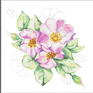 Rozen kruissteekpatroon, wilde rozenbloemen, PDF, grafiek.