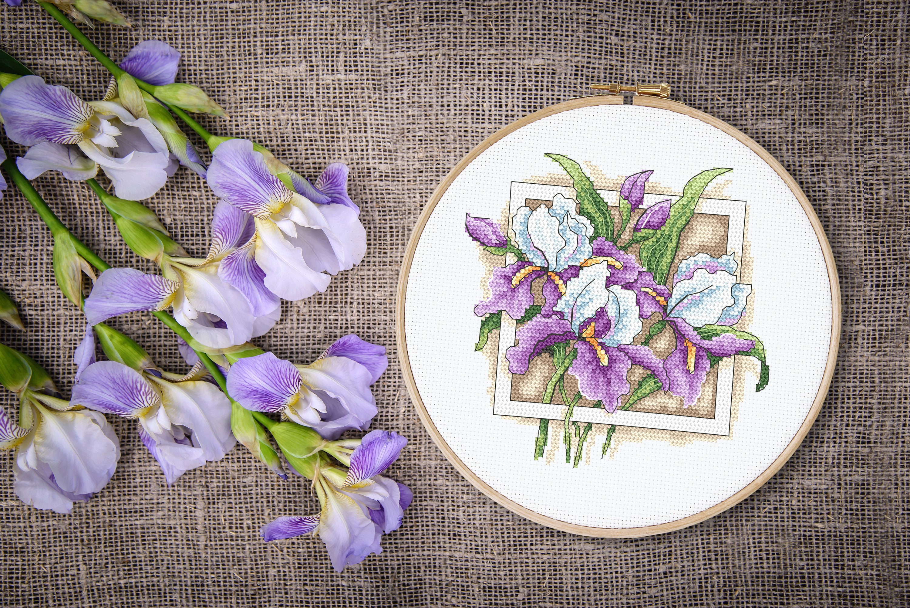 Irises - Pattern Cross Stitch ,PDF & HKS Files. - Etsy