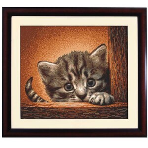 Puede incluir: Un gatito tabby marrón y gris asoma desde detrás de una superficie de madera. El gatito tiene ojos verdes y una mancha blanca en el pecho. El fondo es de color naranja cálido.