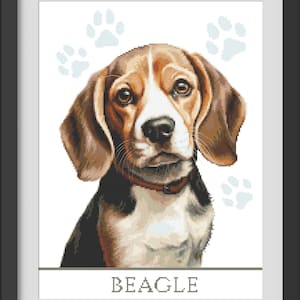 Pode incluir: Um cão Beagle com pelo marrom e branco, olhando diretamente para a câmera. O cão está usando uma coleira vermelha e tem um fundo branco com pegadas azuis.