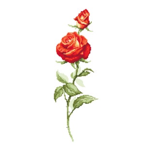 Roses digital cross stitch pattern,  Oblong red roses PDF,