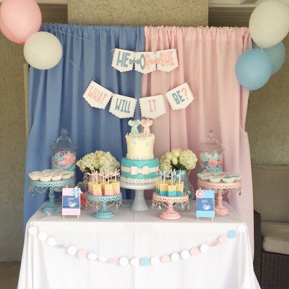 Items similar to Gender reveal,gender reveal party, gender reveal