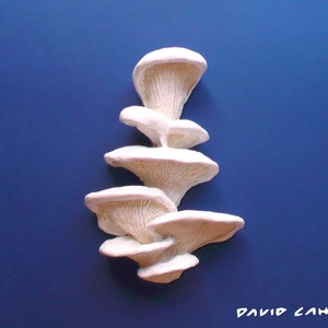 White Angel Mushrooms Wall Sculpture, 9&#39; - Acrylic Paint on Polymer Clay over Copper