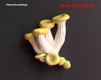 Colgando hongos ostra dorada / Acrílico sobre arcilla polimérica sobre cobre / Escultura de pared firmada en venta por el artista David Cahn