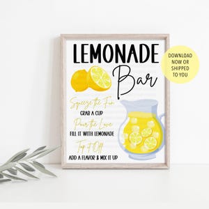 Lemonade Bar Sign for Party | Summer Drink Station Decor | Printable or Shipped Table Sign | Add a Flavor Mix It Up Lemonade Station