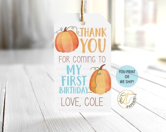 Boy Pumpkin Tag, Pumpkin Thank You Tag, Pumpkin Birthday Tag, Pumpkin First Birthday Tag, Pumpkin Party Favor Tag, Pumpkin 1st Birthday