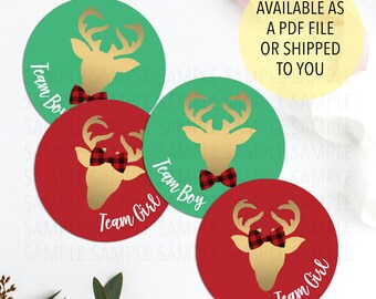 Reindeer Gender Reveal Sticker, Reindeer Team Boy Sticker, Christmas Team Girl, Reindeer Sticker, Christmas Gender Reveal, Reindeer Gender