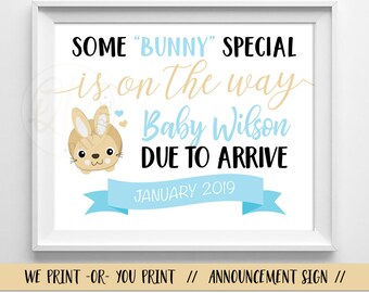 Easter Pregnancy Announcement, Easter Baby Announcement, Spring Baby Pregnancy Announcement, Spring Pregnancy Announcement, Some Bunny Baby