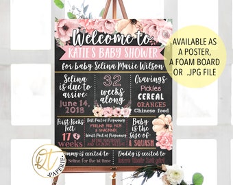 Girl Baby Shower Sign, Pregnancy Stat Board, Baby Shower Chalkboard, Floral Baby Shower, Baby Shower Welcome Sign, Pink Flower Baby Shower