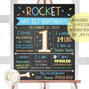 Boy Dog First Birthday Sign, Puppy 1st Birthday Poster, Puppy First Birthday Sign, Puppy Birthday, Dog Sign, Dog Info Birthday Poster