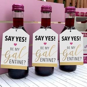 Galentines Tag Geschenkanhänger, Be My Galentine Tag, Galentines Day Party Tag, Galentine Party Favor Tag, Galentines Day Tag, Valentines Day Tag