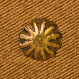 Puede incluir: Un botón de metal de color dorado con un diseño de estrella.