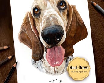 Hand Drawn Pet Portrait, Coloured Pencil Dog or Cat Art, Pet Memorial and Loss Gift, Personalised Pet Commission