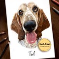 Hand Drawn Pet Portrait, Coloured Pencil Dog or Cat Art, Pet Memorial and Loss Gift, Personalised Pet Commission