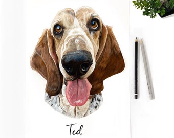 Lápiz de color Retrato de mascota personalizado, Retrato de perro, Retrato de gato, regalo personalizado, regalo personalizado, arte de pared, arte de pared personalizado, regalo de amante de mascotas