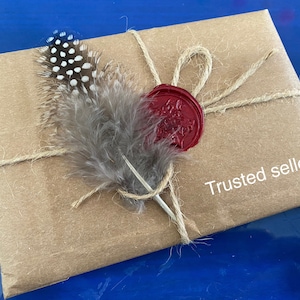 ¡Magos de cualquier edad! / Producto terminado, no necesita edición / Carta de aceptación personalizada / Revelación de viaje de cumpleaños de Navidad / Hecho a mano
