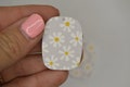 Daisies Earring Blanks, Daisy, Flowers, earring blanks, acrylic earrings, earring supplies, diy earrings, earring findings, acrylic blanks