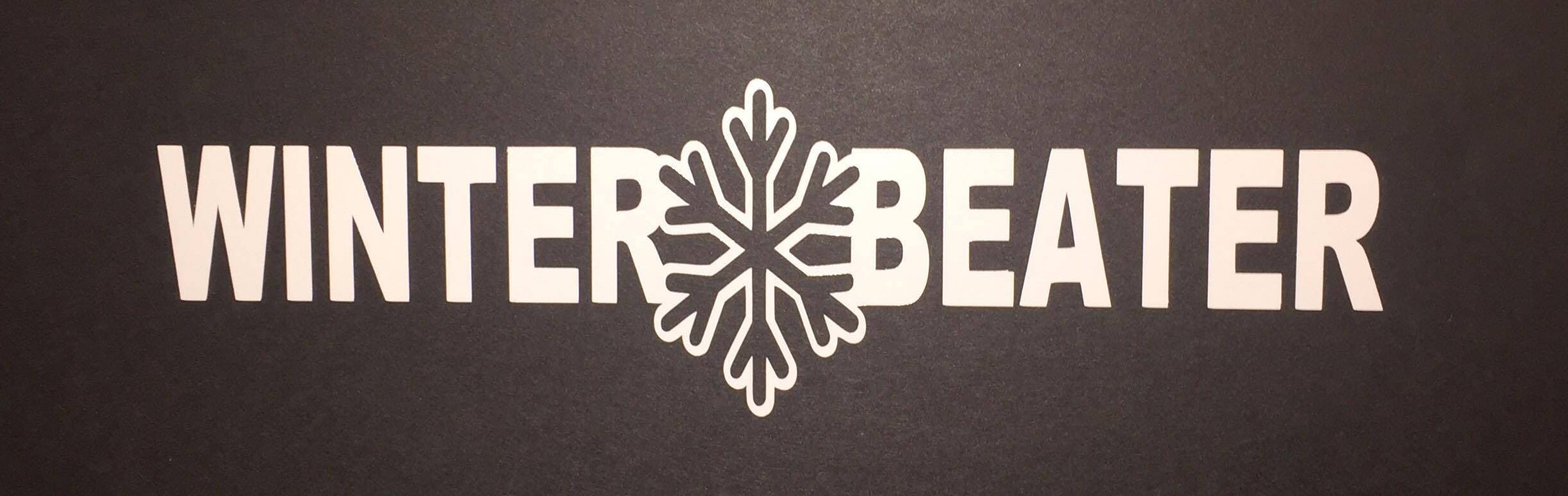 Winter Beater Sticker Vinyl Decal Ecoboost Boosted - Etsy