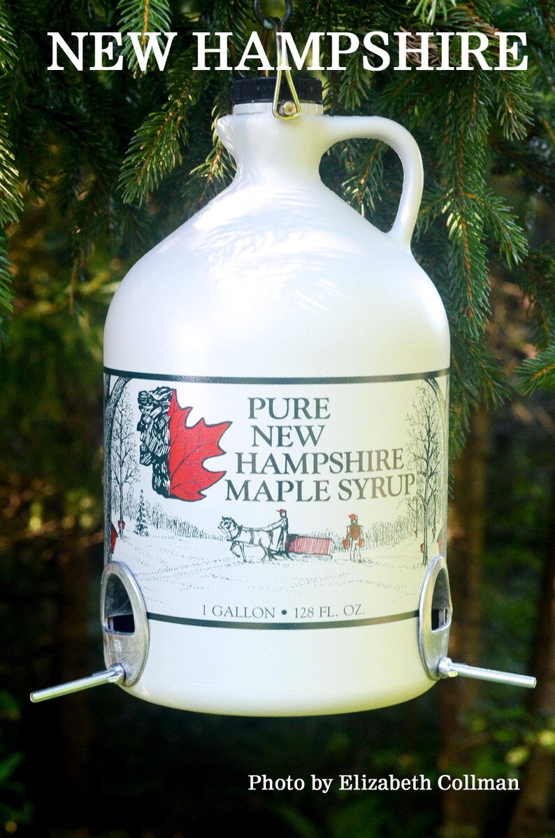 Half Gallon VT Bird Feeders Vermont Maple Syrup Jug Etsy