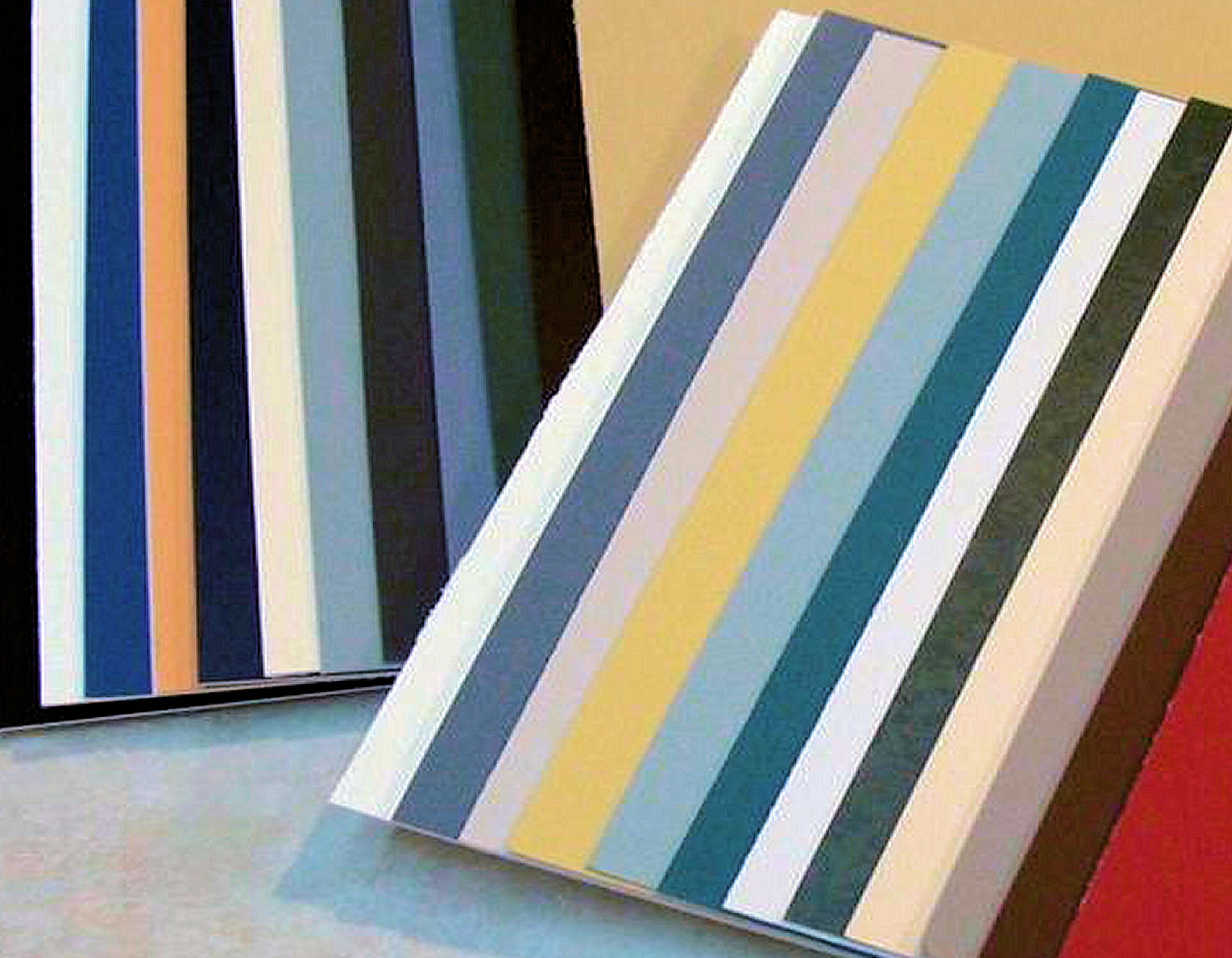 Picture Frame Mat with Decorative V-groove for Photo or ...