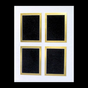Picture Framing Mat for Trading Cards ACEO or Photos Double Matting with 4 Openings for 2.5 x 3.5 Fits 8x10 Inch Frame Multi Opening Collage