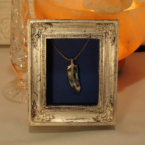 May include: A silver framed picture with a blue background and a gold necklace with a multi-colored feather pendant.