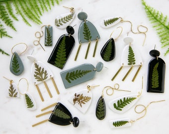 FERN collection: real dried ferns from the Pacific Northwest