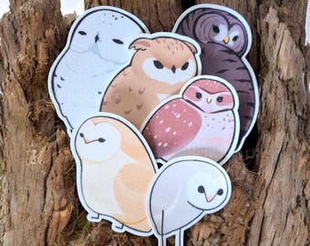Owl Sticker Pack: Glittery Waterproof Decals for Laptops, Water Bottles