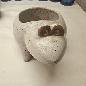 May include: A ceramic planter shaped like a frog with a speckled off-white glaze and brown accents around the eyes. The vessel features a wide, open top for planting and stands on short, sturdy legs, showcasing a smooth, rounded body design.