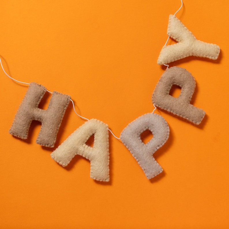 Felt Birthday Banner Montessori Classroom office birthday party dorm decoration happy birthday