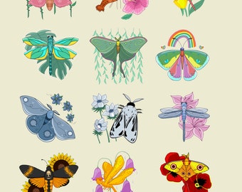 Moth Sticker Set