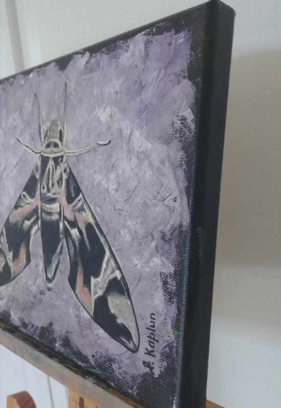 insect bug Mexican kite Butterfly Art PRINT Still Life- Original Oil Painting bathroom hallway art moth