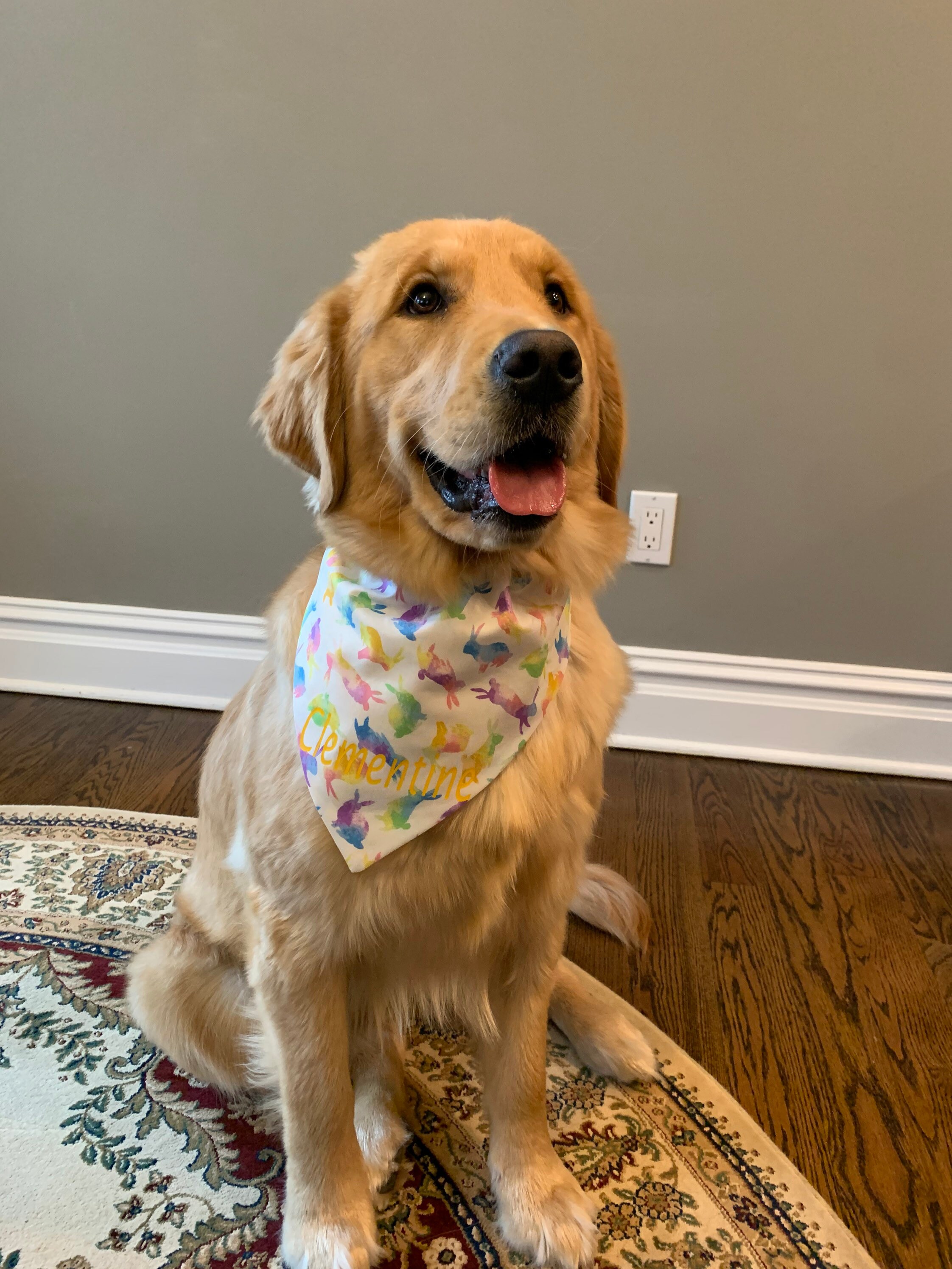 Dog Bandana Easter bunny bandana Tiedye bunnies bandana Etsy